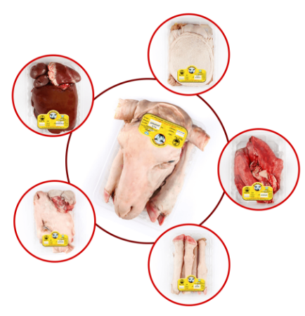 تصویر برای دسته  آلایش گوسفندی